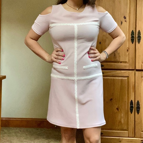 NWT Blush Knit Sheath Dress - Picture 4 of 13